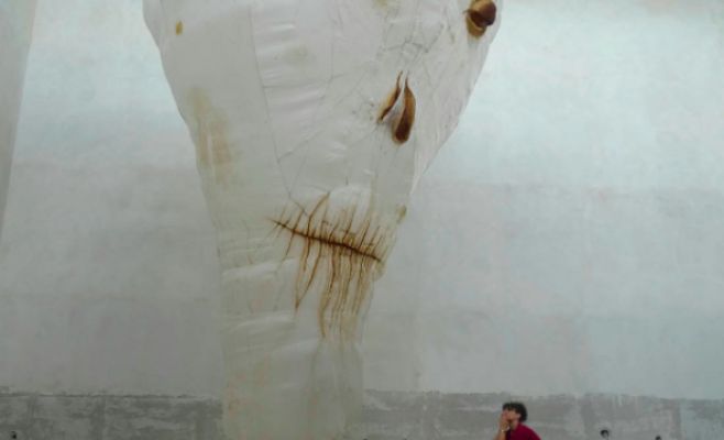 Выставка работ Франтишека Скалы