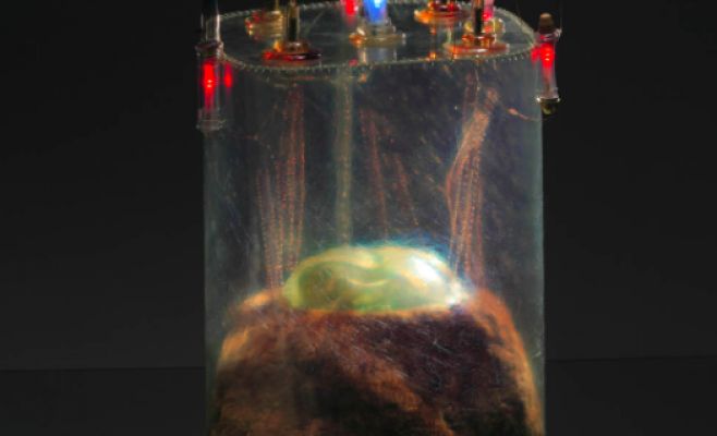 Выставка работ Франтишека Скалы