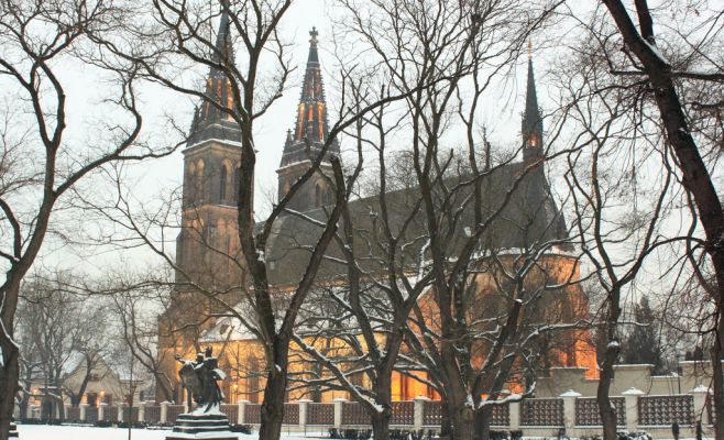 В выходные ожидается потепление, затем снова холодная зима