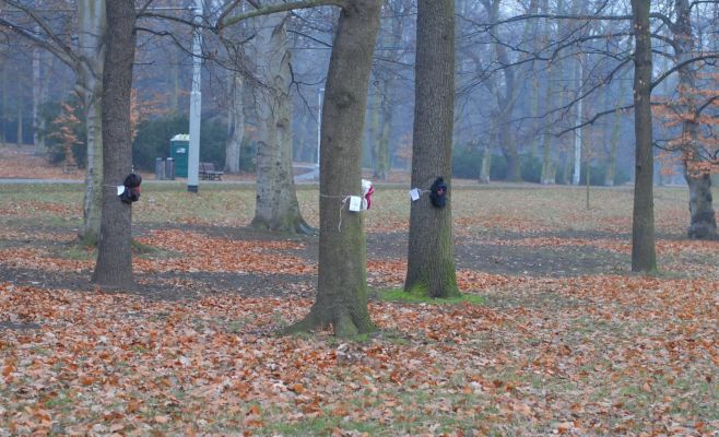 Пражане вешают на деревья зимнюю одежду для бездомных