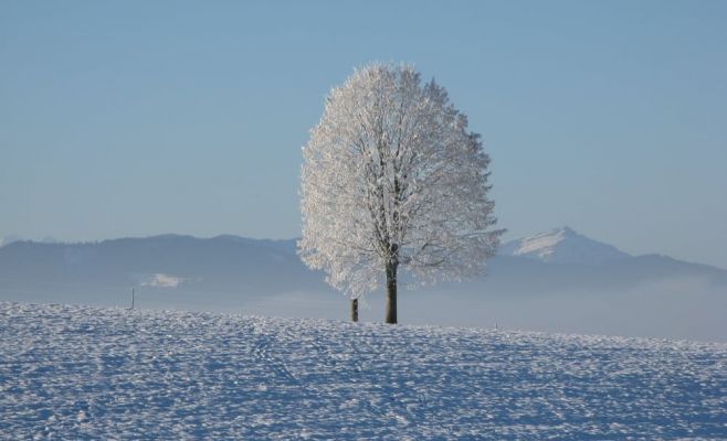 Метеорологи предупреждают о сильных морозах сегодня ночью