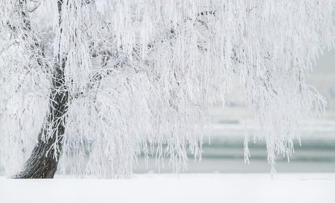 Январь этого года станет самым холодным за последние 77 лет