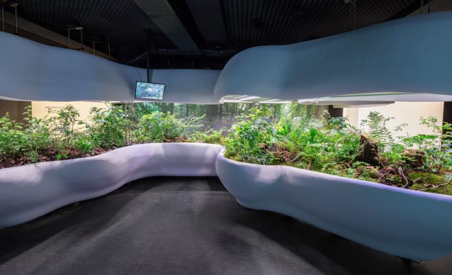 Постоянная экспозиция Национального музея сельского хозяйства