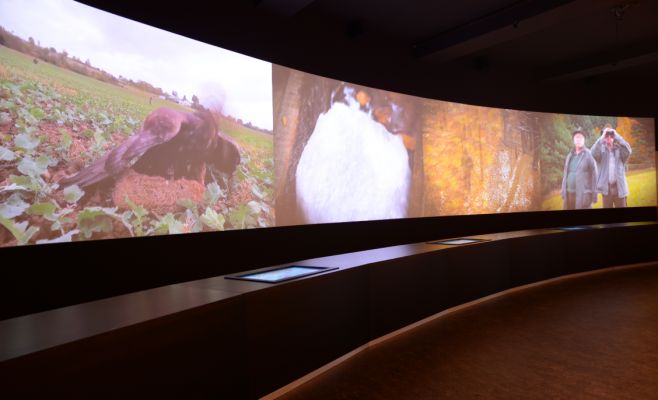 Постоянная экспозиция Национального музея сельского хозяйства