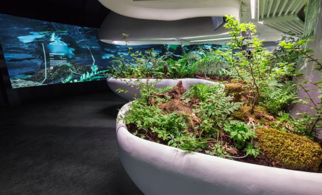 Постоянная экспозиция Национального музея сельского хозяйства