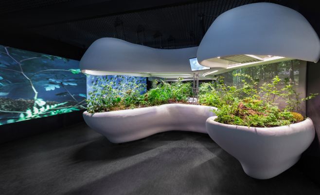 Постоянная экспозиция Национального музея сельского хозяйства