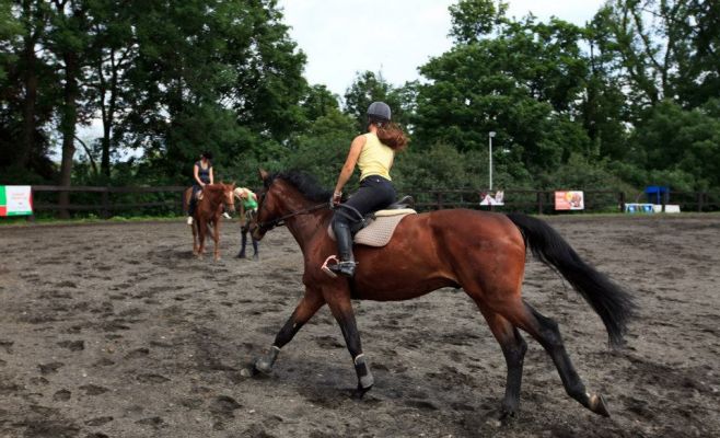 Выставка замка Стенице