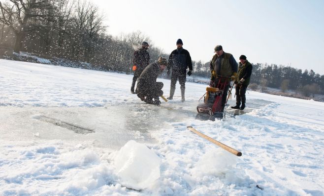 Ледяная скульптура