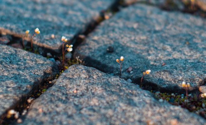 На Чехию надвигается потепление, ожидается 9 °C тепла