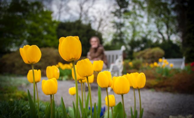 Метеорологи рассказали о погоде до конца месяца