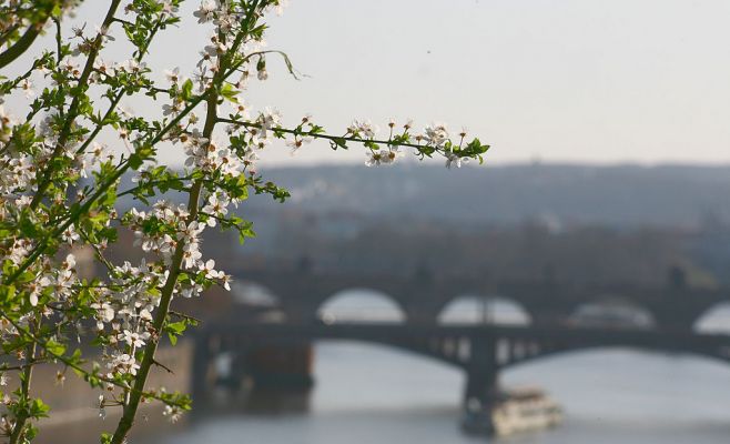 Метеорологи рассказали о погоде в марте