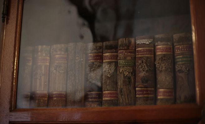 Выставка в Старговской библиотеке