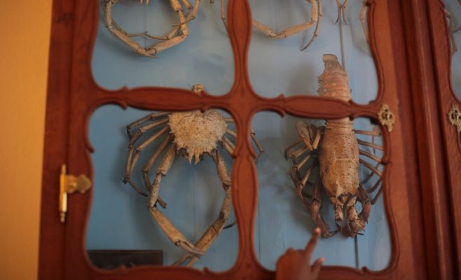 Выставка в Старговской библиотеке