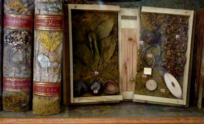 Выставка в Старговской библиотеке