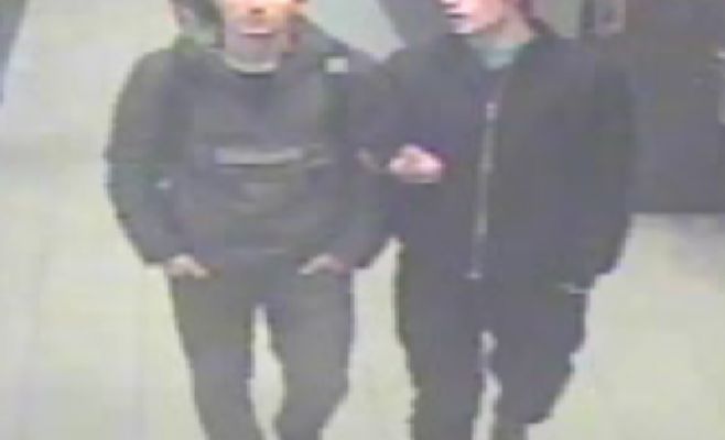 Полиция разыскивает вандалов, повредивших автомобили и городскую инфраструктуру