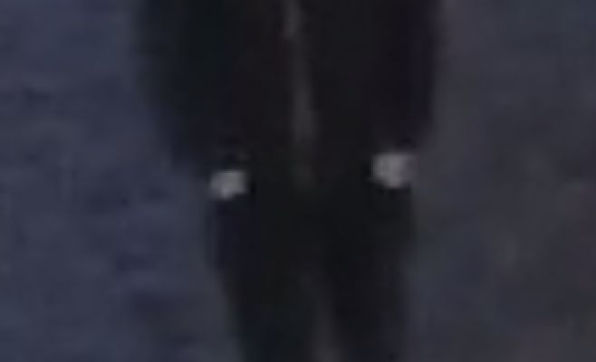 Полиция разыскивает вандалов, повредивших автомобили и городскую инфраструктуру