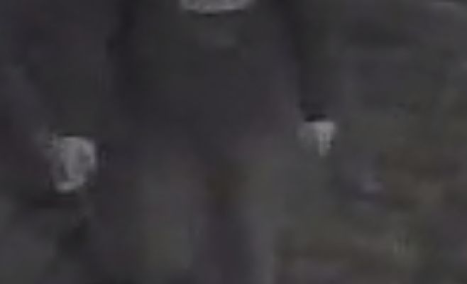 Полиция разыскивает вандалов, повредивших автомобили и городскую инфраструктуру