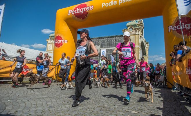 Каникросс Volkswagen Marathon Weekend