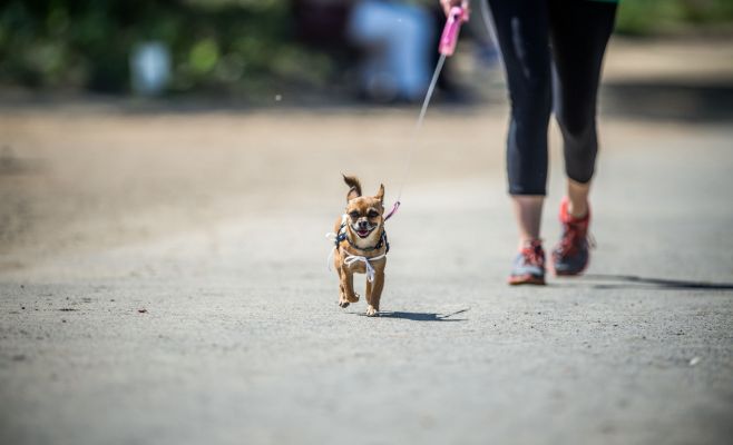 Каникросс Volkswagen Marathon Weekend