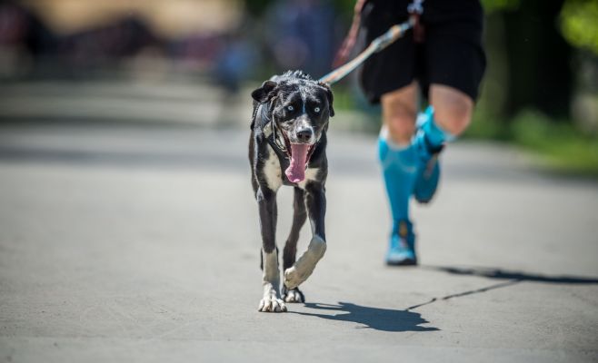 Каникросс Volkswagen Marathon Weekend