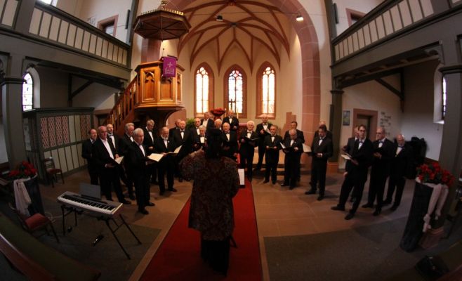 Международный хоровой фестиваль «Хоровое лето Дворжака»