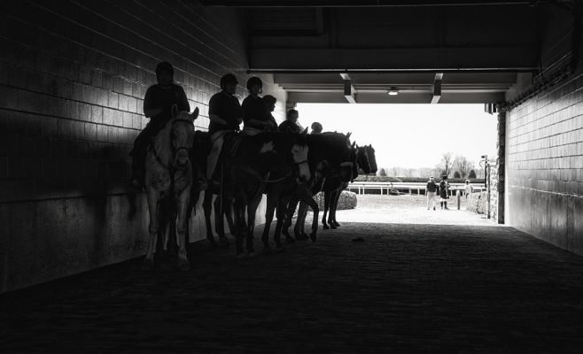 Скачки на ипподроме Велка Хухле