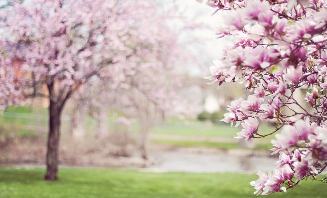 Праздник весны на Петршине