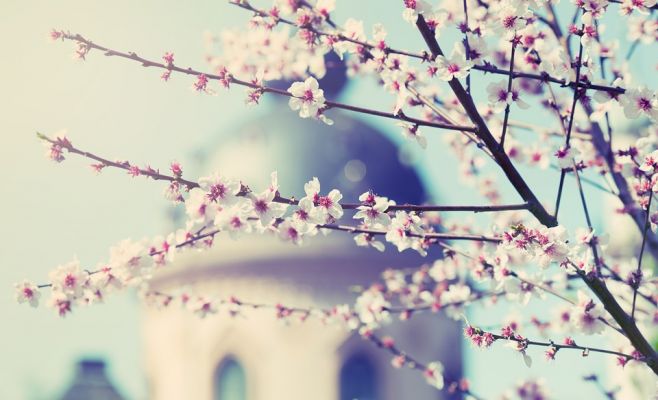 Праздник весны на Петршине