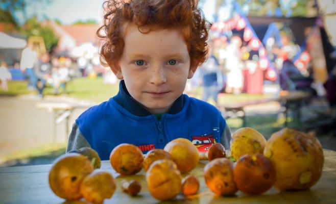 Фестиваль грибов