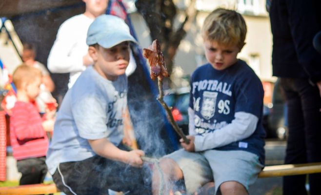 Фестиваль грибов