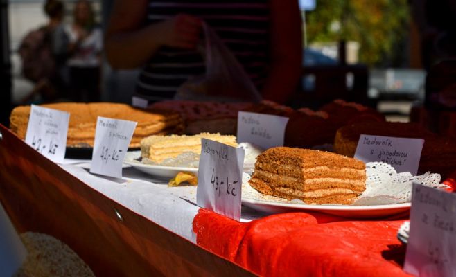 Фестиваль грибов