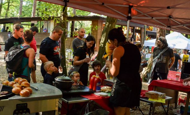 Фестиваль грибов