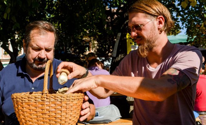 Фестиваль грибов