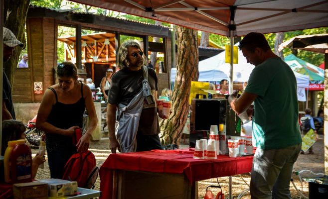 Фестиваль грибов