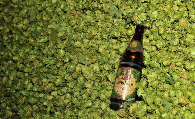 Фестиваль пива Svijany