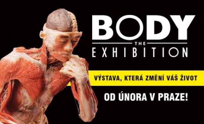 Выставка Body The Exhibition