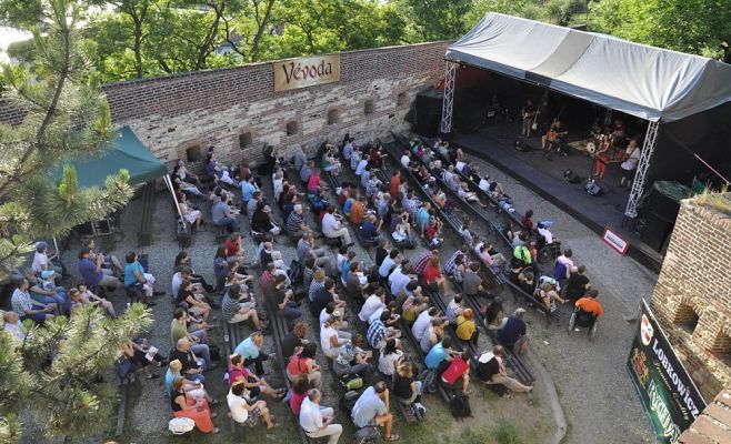 Фестиваль театра и музыки Vyšehraní