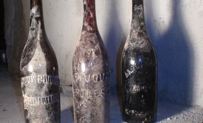 Ученые рассказали о вкусе чешского пива, сваренного 100 лет назад