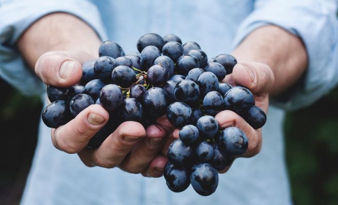 5 бесплатных мероприятий, которые можно посетить в эти выходные