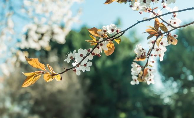 В понедельник в Чехии было 26 градусов