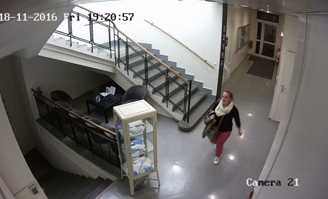 Задержана «уборщица», обокравшая отели, офисы и театры почти на миллион крон