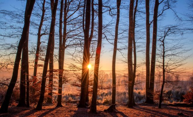 На Шумаве утром был сильный мороз — -20 °C