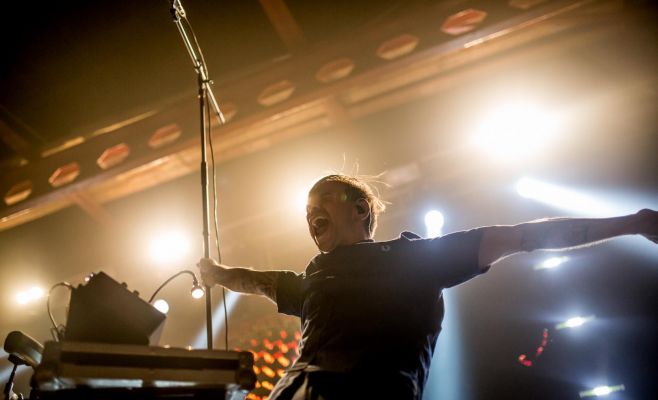 Концерт Дельфина