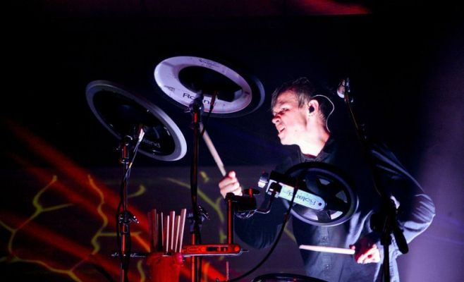 Концерт Дельфина