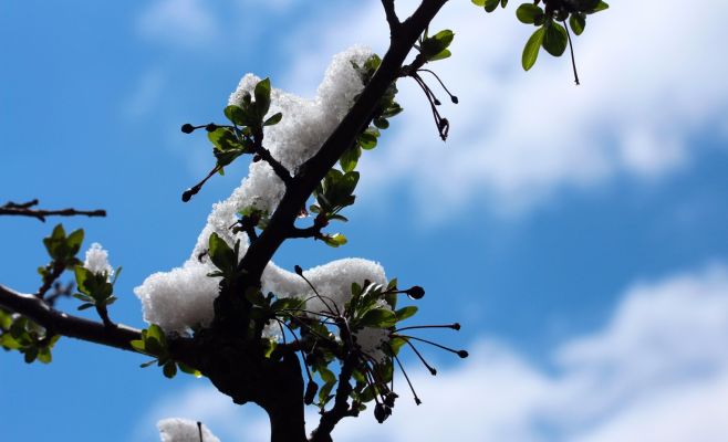 Метеорологи вновь обещают похолодание и снег