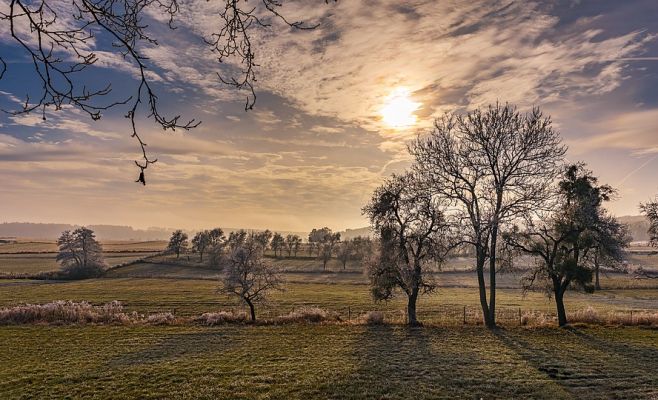 В Чехии ночью зафиксировали рекордные заморозки