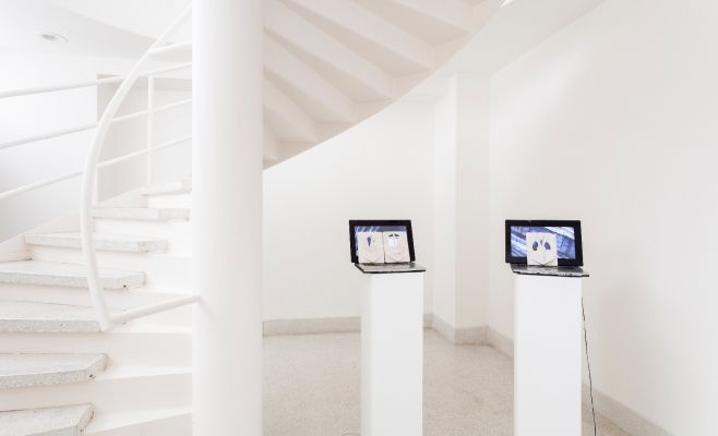 Выставка Павлы Дундалковой «Когда я закрываю окно, то не слышу шум улиц»