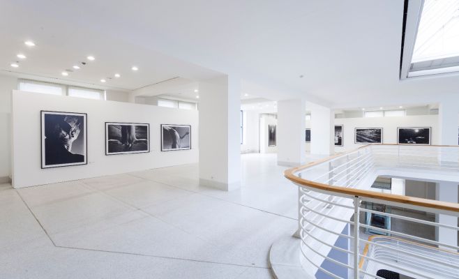 Выставка фотографий Кейчи Тахара «Фотосинтез 1978-1980»