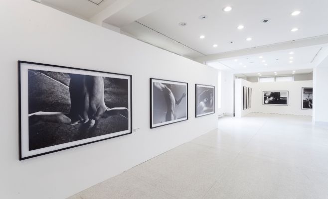 Выставка фотографий Кейчи Тахара «Фотосинтез 1978-1980»