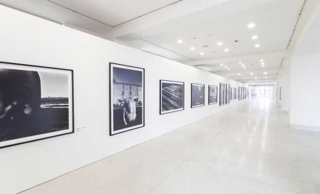 Выставка фотографий Кейчи Тахара «Фотосинтез 1978-1980»